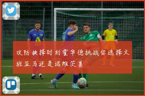 攻防抉择时刻霍华德挑战你选择文班亚马还是诺维茨基
